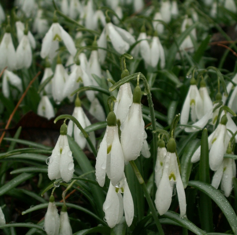 Segni di primavera